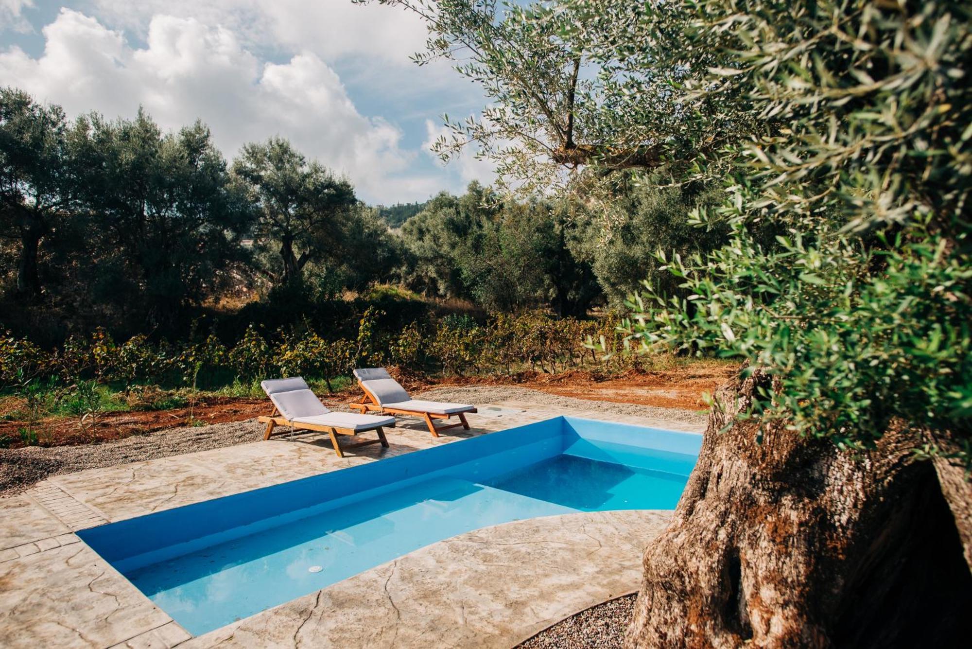Di Vino Villa Apolpaina